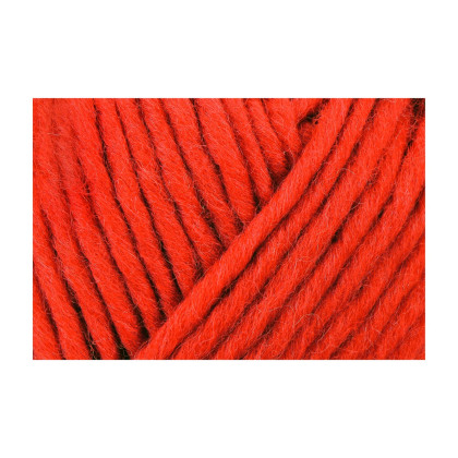 WASH+FILZ-IT! - ORANGE (00054)